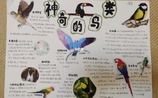 鸟的科学常识有哪些 - 鸟类的科普知识