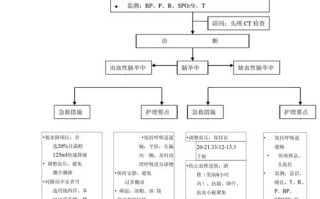 脑卒中急救常识（脑卒中急救流程图）