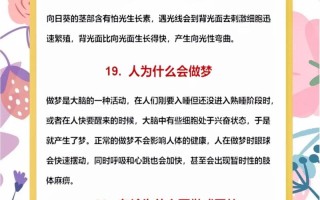 译异形小常识（异形ii）