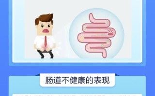 胃肠保养常识（胃肠饮食保养）