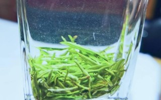 竹山绿茶常识，竹山的什么茶叶比较有名
