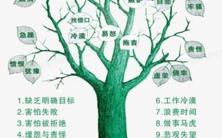 安全常识匮乏（安全常识匮乏怎么办）