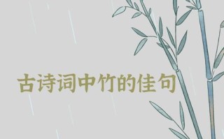 文学常识鸡鸣（鸡鸣原文）