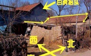 家人没有常识，父母没有常识