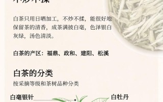 白茶入门常识（如何给大家讲解白茶）