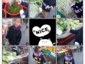 买菜基本常识 - 买菜基本常识有哪些