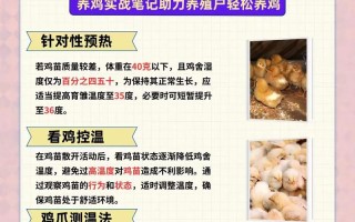 养小鸡的常识，养小鸡的常识是什么