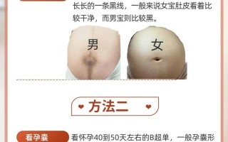 性别区分常识 - 性别性别