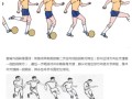 足球常识介绍视频 - 足球常识介绍视频大全