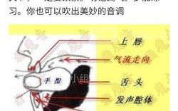 常识变换口哨之类的（常识变换口哨17）