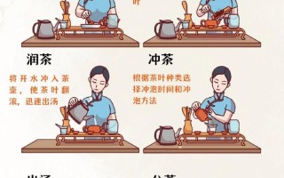 新手学泡茶的基本常识，从零开始学泡茶