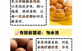 鸡蛋存放常识（鸡蛋储存时应如何放置）