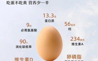 鸡蛋生活常识 - 鸡蛋的科普知识