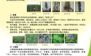 农业种植常识科普，农业种植讲解