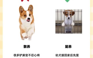 宠物必备常识（宠物必备常识书籍）