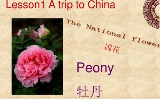 牡丹英文常识，牡丹英文常识大全