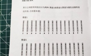 常识口哨18（常识口哨转变）