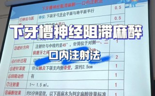 牙科基础常识（牙科知识科普）