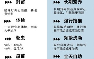 小白养猫常识，养猫小白注意什么