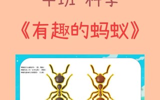 小蚂蚁儿童常识 - 了解小蚂蚁的相关知识