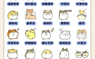 小仓鼠的常识（小仓鼠的常识和特点）