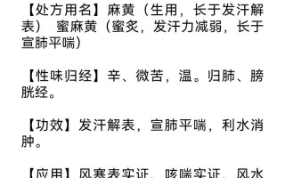 辛的文言常识（辛古文怎么写）