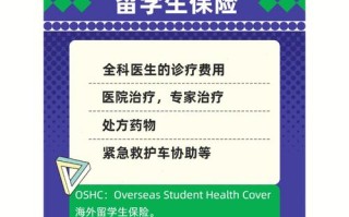 海外保险常识 - 海外保险的优缺点