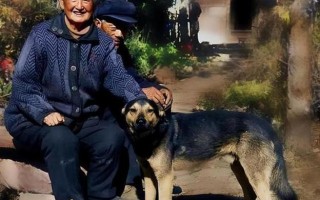 农村养狗常识 - 农村养狗的注意事项
