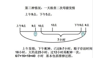 母猪育种常识（母猪种猪养殖技术）