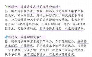 瑞香养殖常识 - 瑞香的养殖方法和施肥