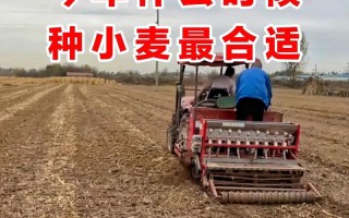 小麦种植常识，小麦种植方法及田间管理