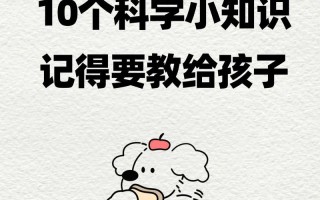 常识看什么电视（看什么电视节目最涨知识）