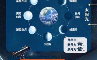 文化常识望日（文化常识的意思）