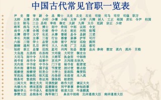 检讨文化常识，文化检讨书
