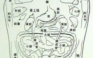 文化常识季父（文化常识 六部）