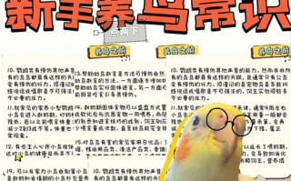 怎样保护鸟类的常识，应该如何保护鸟儿呢?