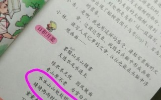 教学常识问题 - 教学常识问题有哪些