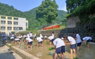 种菜季节常识 - 种菜季节常识大全