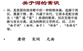 辛弃文字常识，辛弃疾文化