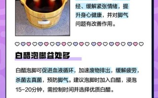 关于白醋常识 - 白醋的日常用途