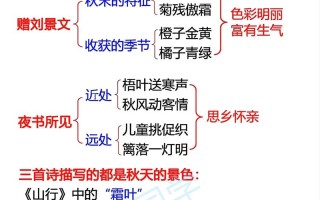 文学常识望岳，望岳文化常识