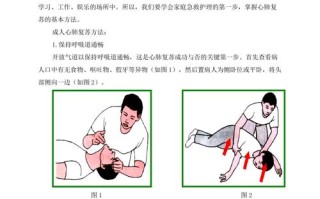 人体急救常识 - 人体急救常识知识点