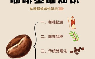 咖啡常识大全答案 - 咖啡常识大全答案图片