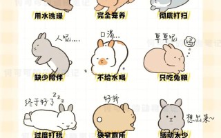 家兔喂养常识，家兔的喂养