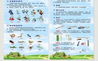 野外生活常识，野外生存必备常识