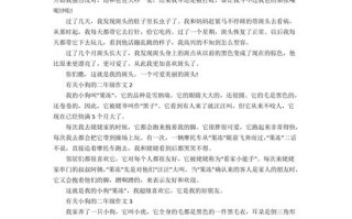 楚天文化常识（楚文化有哪些）