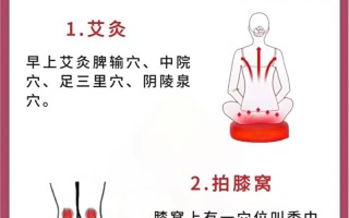 夏季养生常识科普（夏季养生常识科普知识大全）
