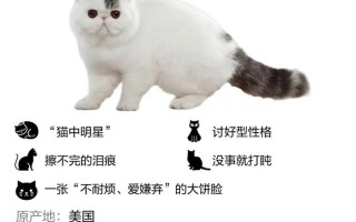 繁育英牛常识（养牛繁育）