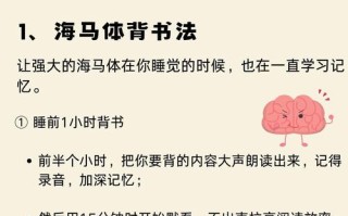 联考常识背诵营，联考常识怎么蒙