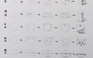 学素描的常识（学素描过程）